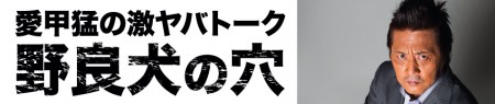 野良犬の穴